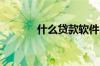 什么贷款软件用身份证能贷款