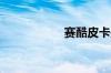 赛酷皮卡是什么意思