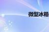 微型冰箱什么牌子好