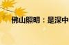 佛山照明：是深中通道照明设备供应商