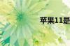 苹果11是双卡双待吗