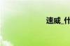 速威_什么是速威