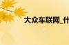 大众车联网_什么是大众车联网