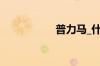 普力马_什么是普力马