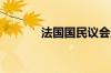 法国国民议会选举今日将举行