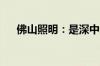 佛山照明：是深中通道照明设备供应商