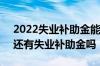 2022失业补助金能领几个月 一个月多少钱 还有失业补助金吗