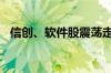 信创、软件股震荡走低 中望软件跌超13%