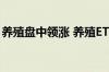 养殖盘中领涨 养殖ETF涨超2% 盘中溢价交易