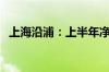 上海沿浦：上半年净利润同比预增92.29%
