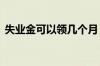失业金可以领几个月 失业金可以异地领取吗