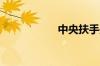 中央扶手是什么意思