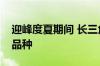 迎峰度夏期间 长三角电力市场交易新增多个品种