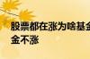 股票都在涨为啥基金不涨 股票都在涨为啥基金不涨
