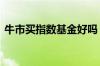 牛市买指数基金好吗 熊市适合买指数基金吗