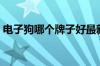 电子狗哪个牌子好最新（电子狗哪个牌子好）