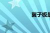 翼子板是什么意思