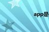 app是什么意思