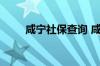 咸宁社保查询 咸宁个人社保卡查询