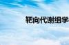 靶向代谢组学检测平台谁家好