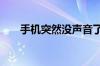 手机突然没声音了怎么回事 解决介绍