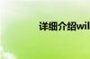 详细介绍will游戏机怎么样