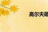 高尔夫敞篷多少钱?