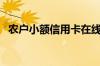 农户小额信用卡在线申请（农户小额贷款）