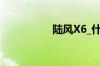 陆风X6_什么是陆风X6