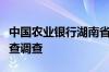 中国农业银行湖南省分行副巡视员蒋祁接受审查调查