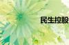 民生控股是做什么的