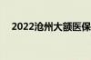 2022沧州大额医保缴费标准 要交多少钱