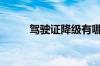 驾驶证降级有哪些新规定_行驶证