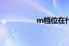 m档位在什么情况下用