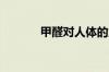 甲醛对人体的危害有哪些症状