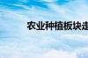 农业种植板块走高 东方集团涨停