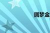 圆梦金怎么提现