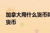 加拿大用什么货币叫什么名字 加拿大用什么货币