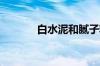 白水泥和腻子粉的区别在哪里