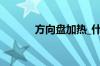 方向盘加热_什么是方向盘加热