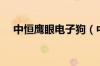 中恒鹰眼电子狗（中恒电子狗使用方法）