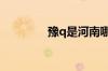 豫q是河南哪个地方的车牌