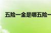 五险一金是哪五险一金 公司交还是自己交