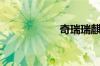 奇瑞瑞麒g5怎么样?