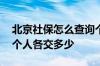 北京社保怎么查询个人账户 北京社保公司和个人各交多少