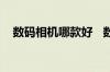 数码相机哪款好   数码相机排行榜大揭秘