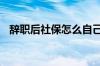 辞职后社保怎么自己续交 社保能不能中断