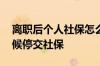 离职后个人社保怎么缴纳 辞职后公司什么时候停交社保