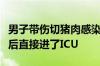 男子带伤切猪肉感染猪链球菌长满瘀斑：送医后直接进了ICU