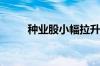 种业股小幅拉升 万向德农涨超4%